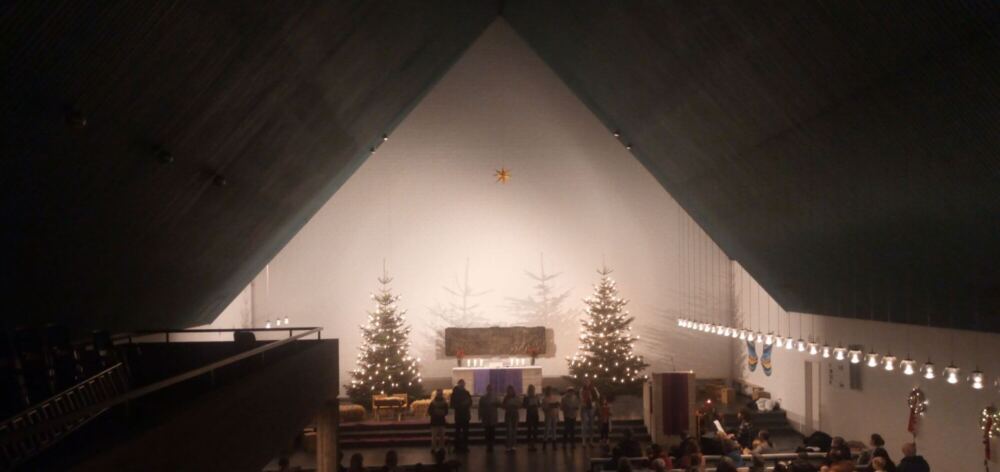 Unsere Weihnachtsbäume