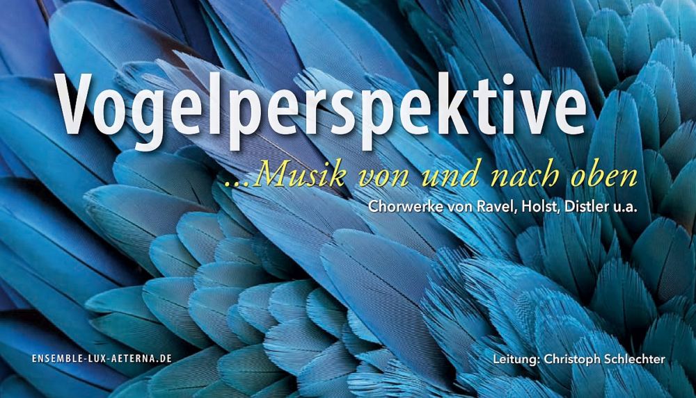 Flyer Vogelperspektive, Konzert Vokalensemble Lux Æterna am 3. Juni 2023