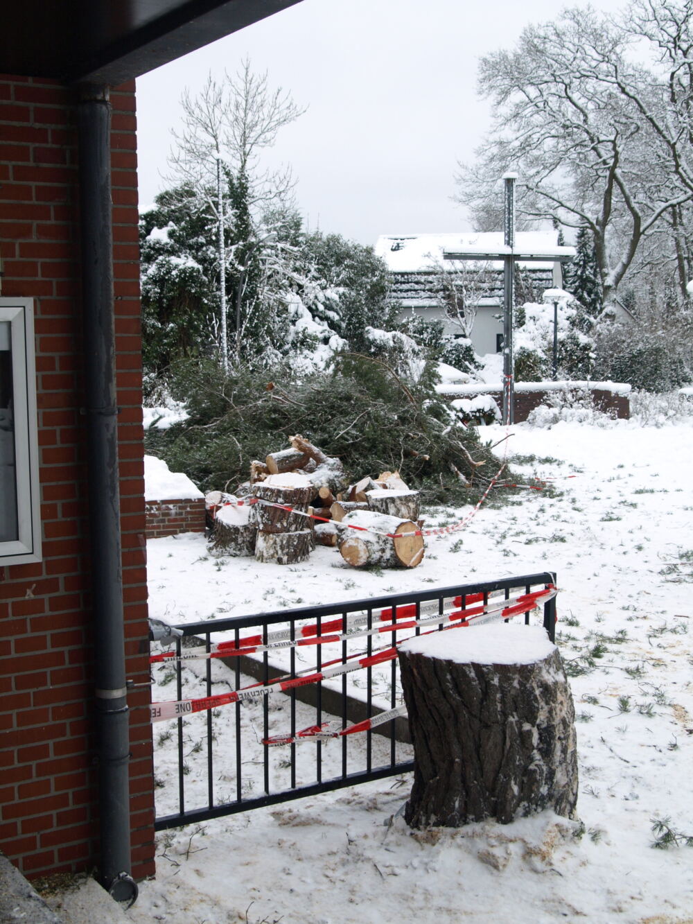 Reste der Kiefer vor dem Gemeindehaus