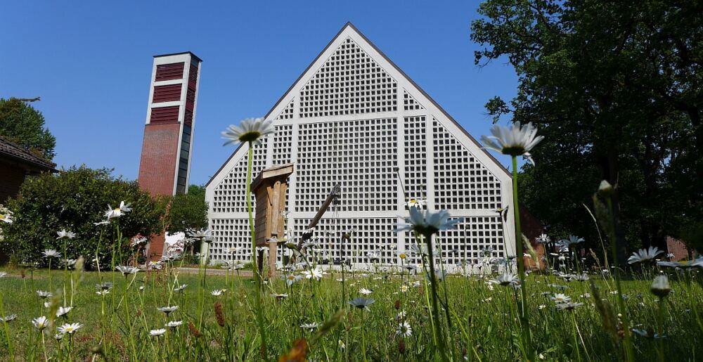Blühende Bienenwiese an der Cornelius-Kirche