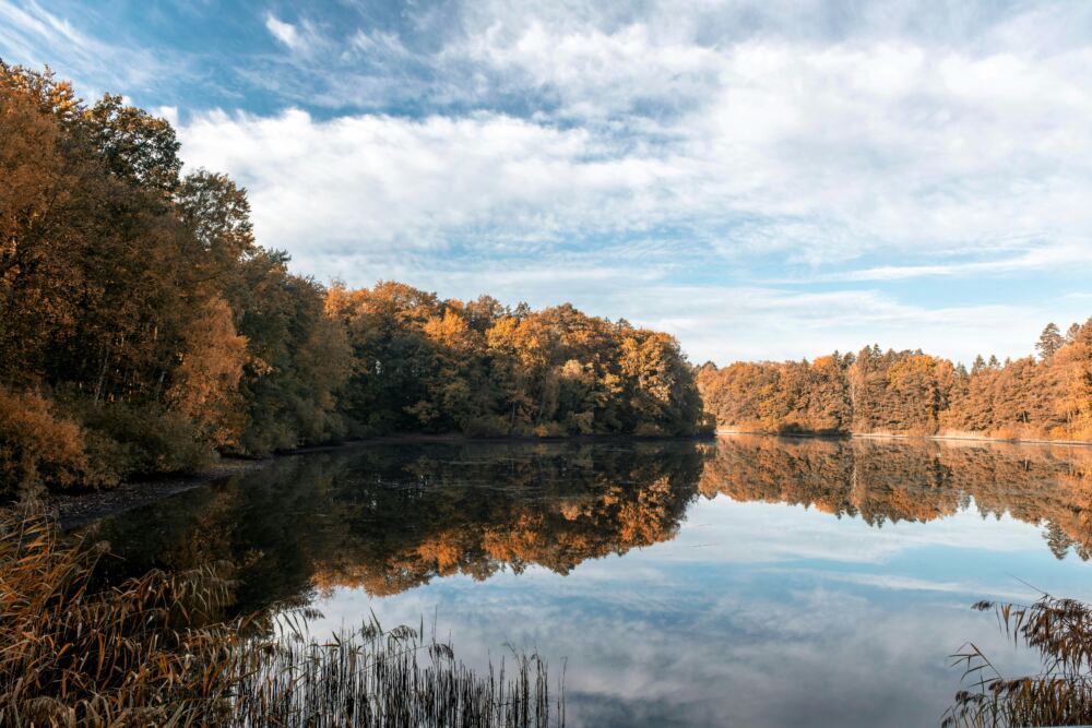 herbstliche Landschaft mit See